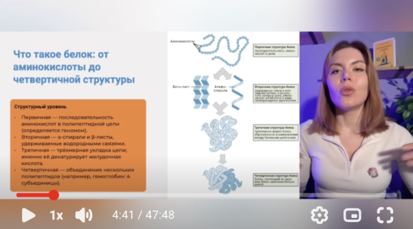 1. Белок &mdash; больше, чем мышцы: биологическая ценность, нормы, растительные vs животные источники